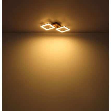 Globo - LED Pinta-asennettava kattokruunu LED/18W/230V
