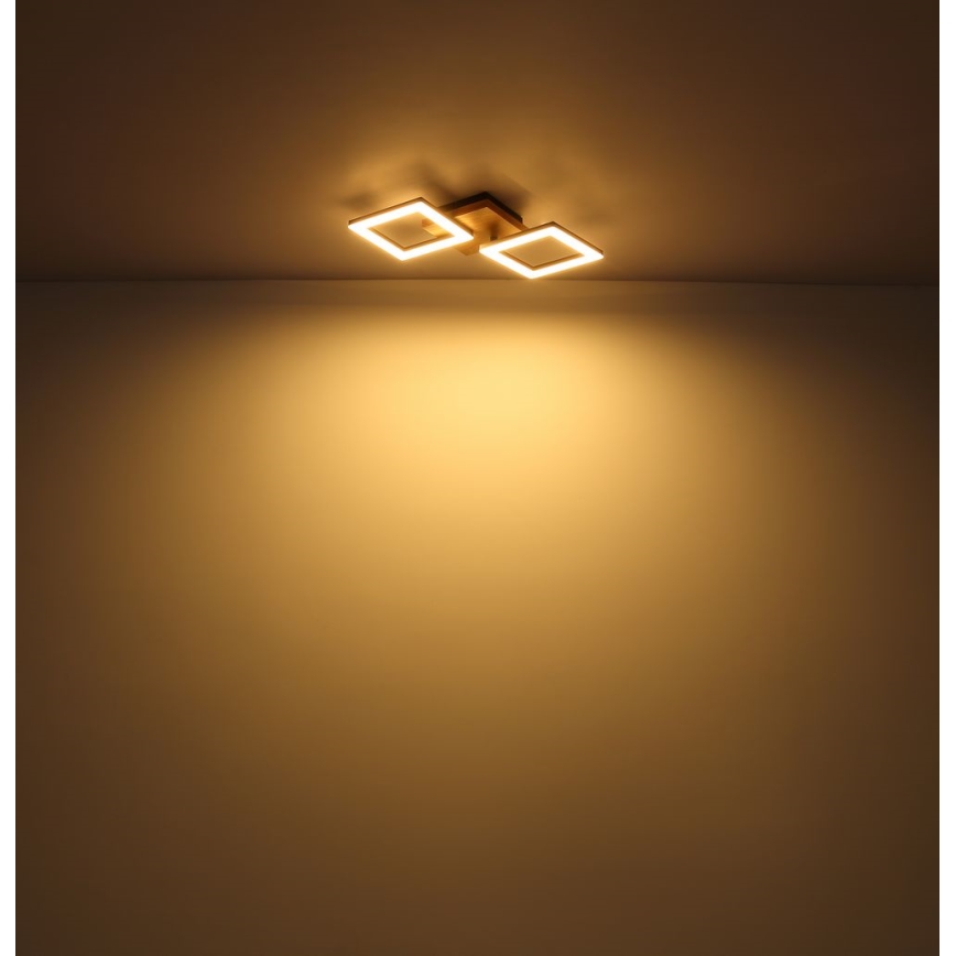 Globo - LED Pinta-asennettava kattokruunu LED/18W/230V