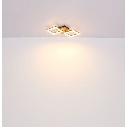 Globo - LED Pinta-asennettava kattokruunu LED/18W/230V
