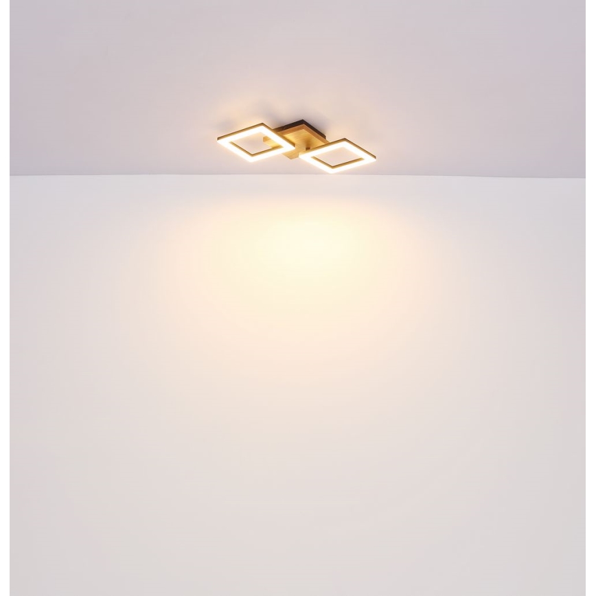 Globo - LED Pinta-asennettava kattokruunu LED/18W/230V