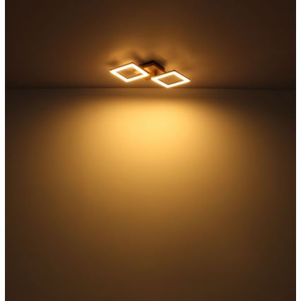 Globo - LED Pinta-asennettava kattokruunu LED/30W/230V