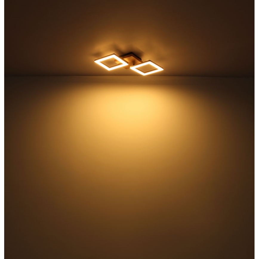 Globo - LED Pinta-asennettava kattokruunu LED/30W/230V