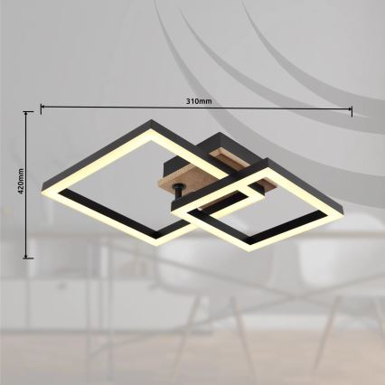 Globo - LED-kattovalaisin LED/15W/230V 3000K