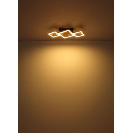 Globo - LED-kattovalaisin LED/29W/230V