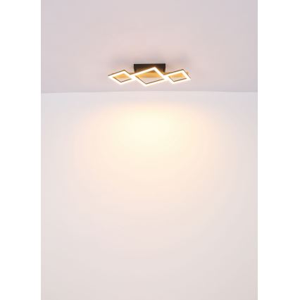 Globo - LED-kattovalaisin LED/29W/230V