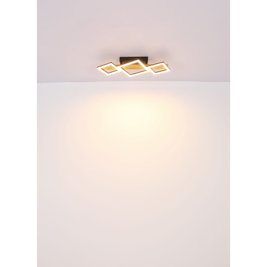 Globo - LED-kattovalaisin LED/29W/230V