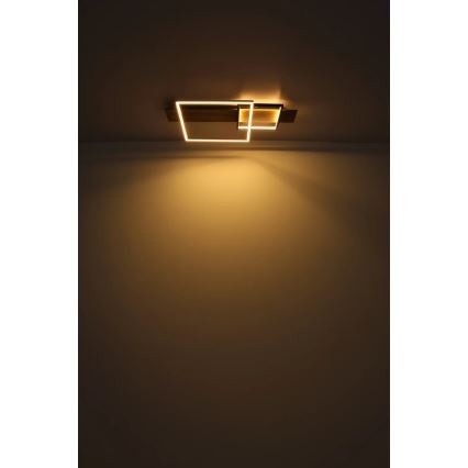 Globo 67289D1 - LED-kattovalaisin VANNI LED/24W/230V 40x75 cm ruskea/musta