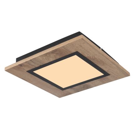 Globo - LED-kattovalaisin LED/12W/230V