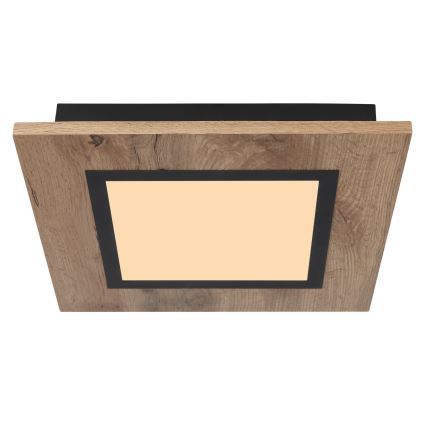 Globo - LED-kattovalaisin LED/12W/230V