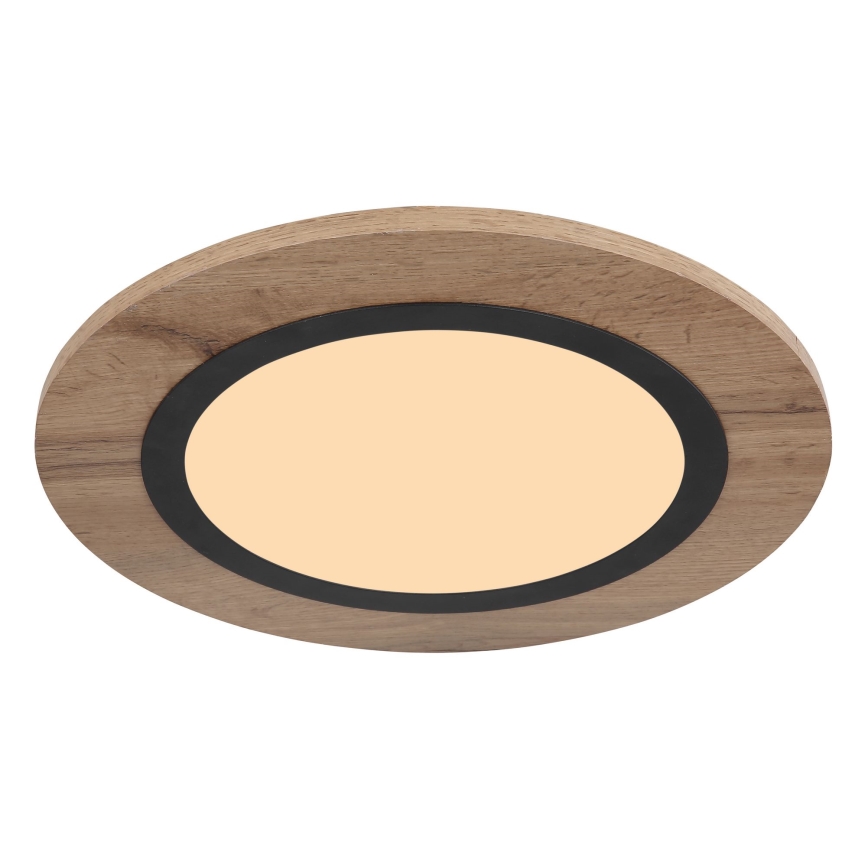 Globo - LED-kattovalaisin LED/15W/230V