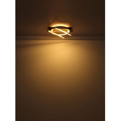 Globo - LED-kattovalaisin LED/32W/230V