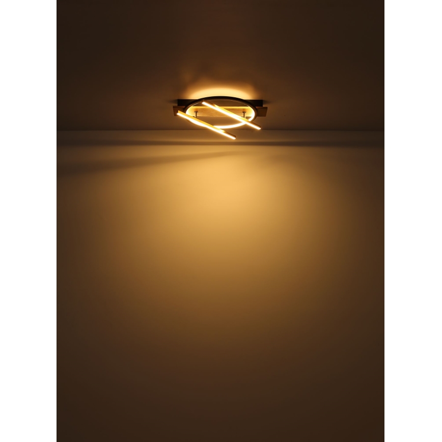 Globo - LED-kattovalaisin LED/32W/230V