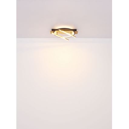 Globo - LED-kattovalaisin LED/32W/230V
