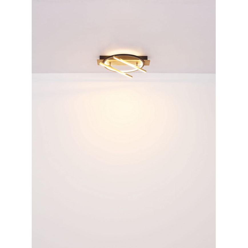 Globo - LED-kattovalaisin LED/32W/230V