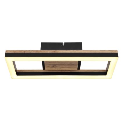 Globo - LED-kattovalaisin LED/12W/230V
