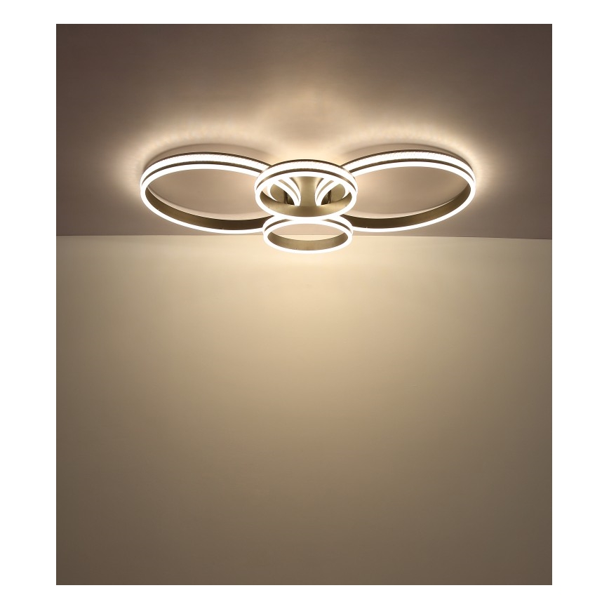 Globo - LED-kattovalaisin LED/39W/230V 2700/4500/6500K 106x60 cm antrasiitti