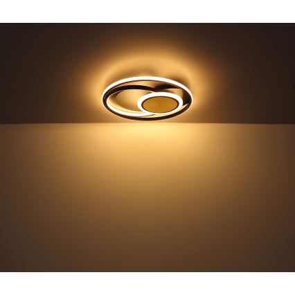 Globo - LED-kattovalaisin LED/24W/230V