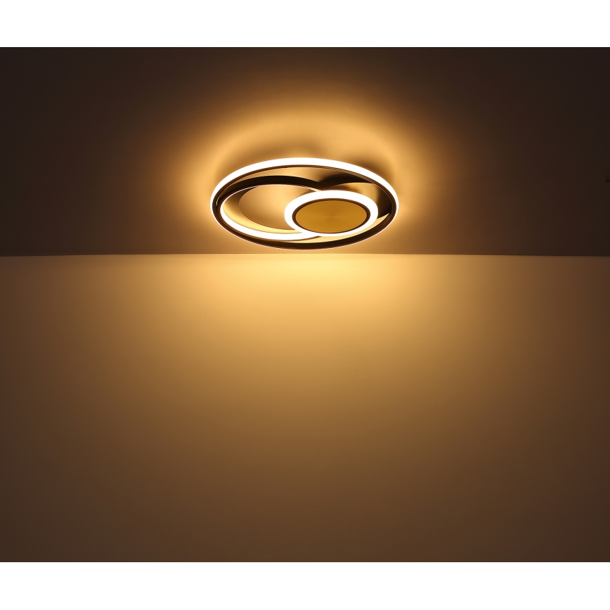 Globo - LED-kattovalaisin LED/24W/230V