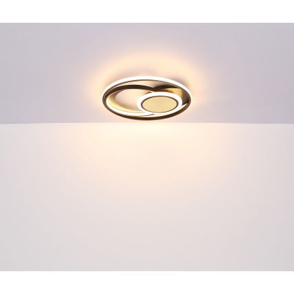 Globo - LED-kattovalaisin LED/24W/230V