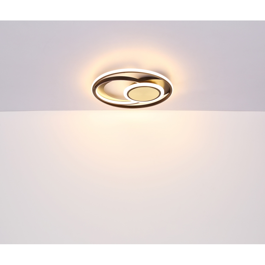 Globo - LED-kattovalaisin LED/24W/230V