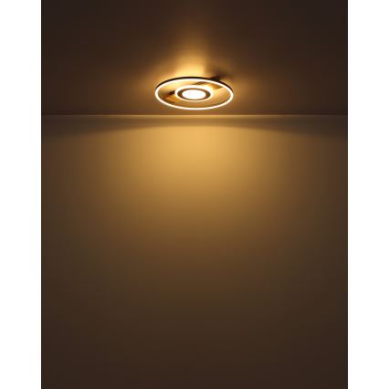 Globo - LED-kattovalaisin LED/24W/230V