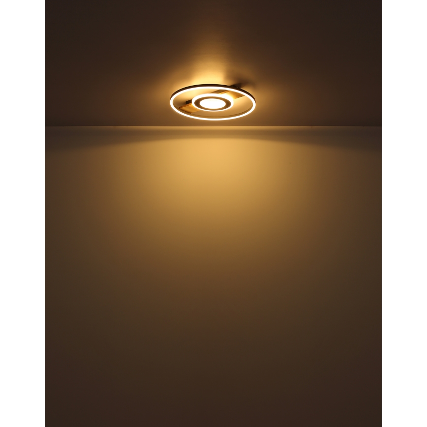 Globo - LED-kattovalaisin LED/24W/230V