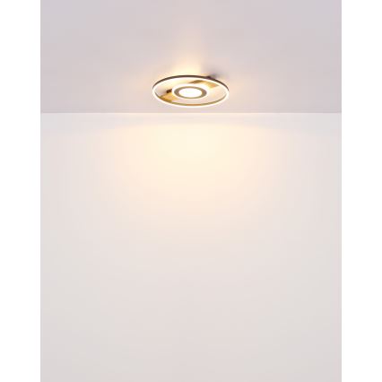 Globo - LED-kattovalaisin LED/24W/230V