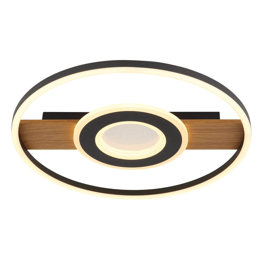 Globo - LED-kattovalaisin LED/24W/230V