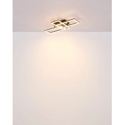 Globo - LED-kattovalaisin LED/24W/230V
