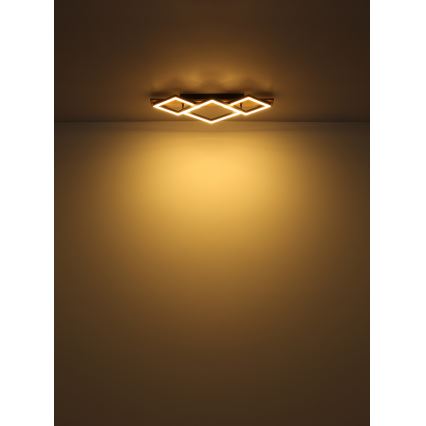 Globo - LED-kattovalaisin LED/24W/230V