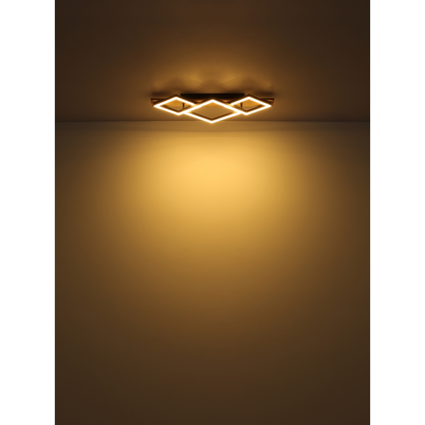 Globo - LED-kattovalaisin LED/24W/230V