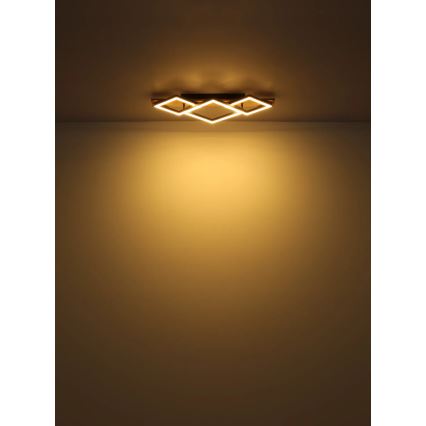 Globo - LED-kattovalaisin LED/24W/230V