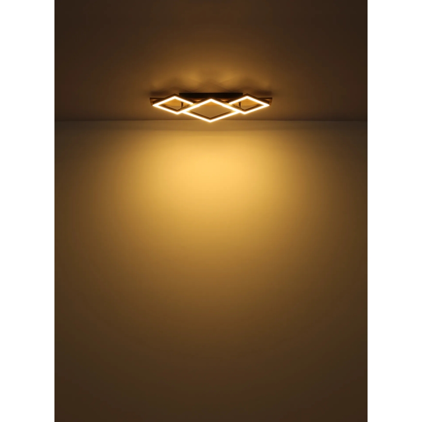Globo - LED-kattovalaisin LED/24W/230V