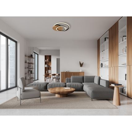 Globo - LED-kattovalaisin LED/24W/230V musta