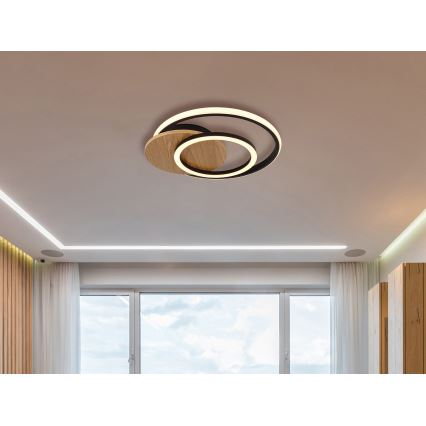 Globo - LED-kattovalaisin LED/24W/230V musta