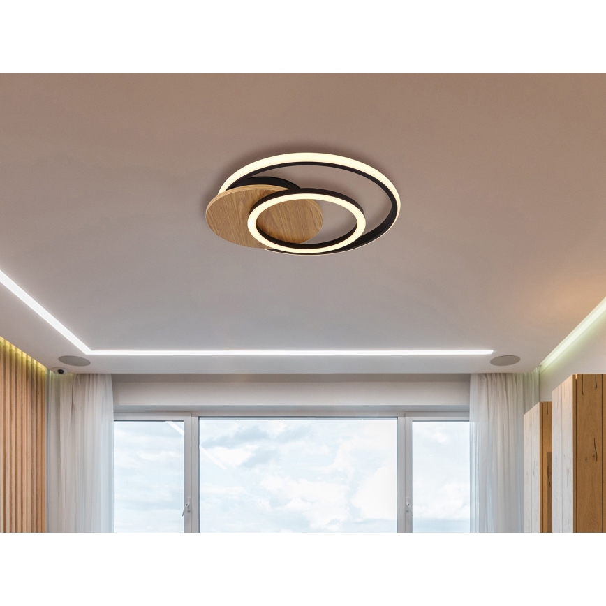 Globo - LED-kattovalaisin LED/24W/230V musta