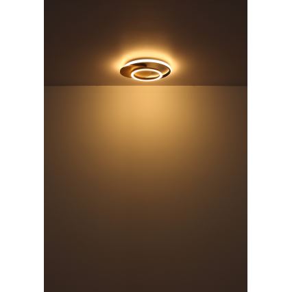 Globo - LED-kattovalaisin LED/24W/230V musta