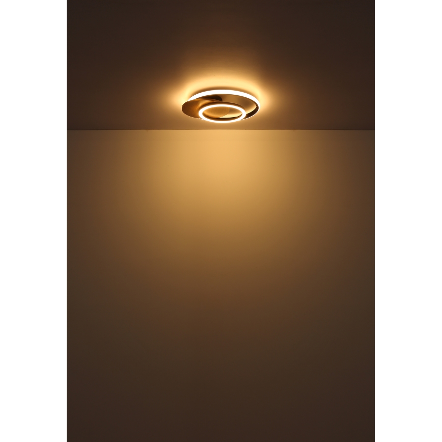 Globo - LED-kattovalaisin LED/24W/230V musta