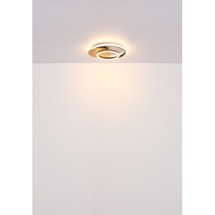 Globo - LED-kattovalaisin LED/24W/230V musta