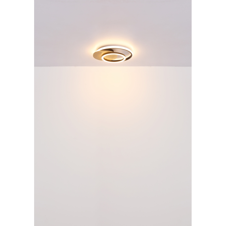 Globo - LED-kattovalaisin LED/24W/230V musta