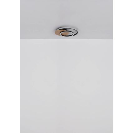 Globo - LED-kattovalaisin LED/24W/230V musta