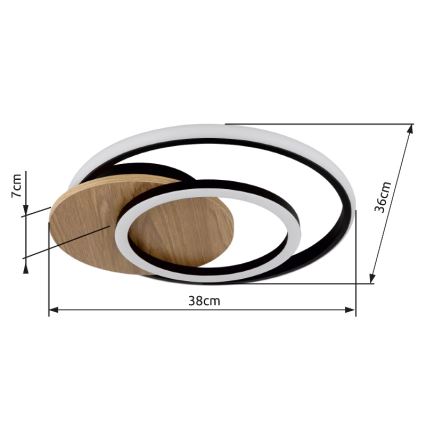 Globo - LED-kattovalaisin LED/24W/230V musta