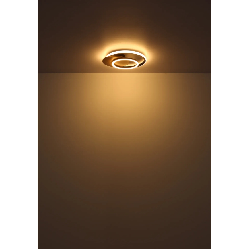 Globo - LED-kattovalaisin LED/24W/230V