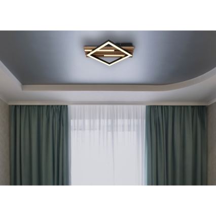 Globo - LED-kattovalaisin LED/19W/230V 3000K 31x33 cm