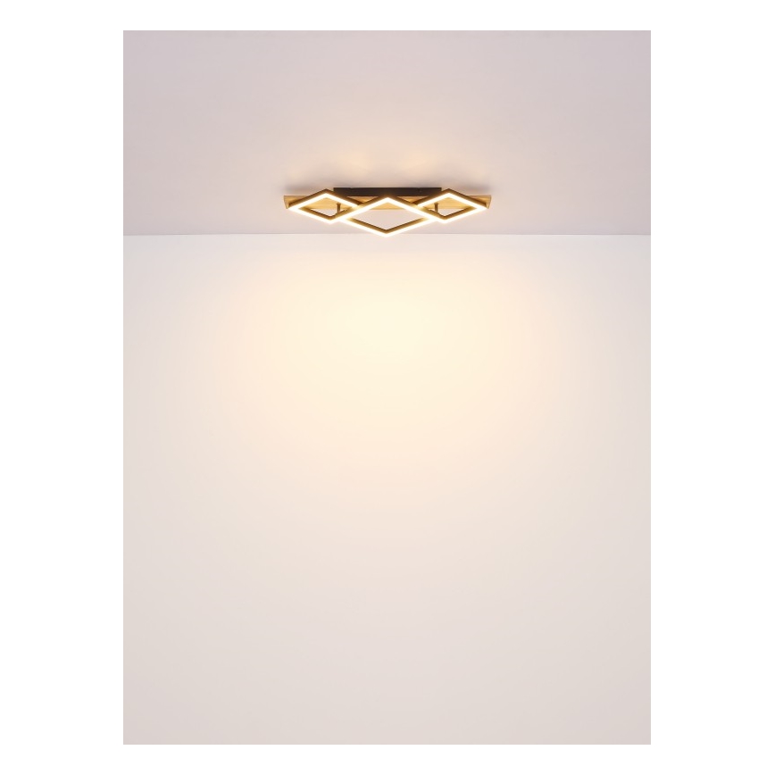 Globo - LED-kattovalaisin LED/32W/230V 3000K 31x61cm
