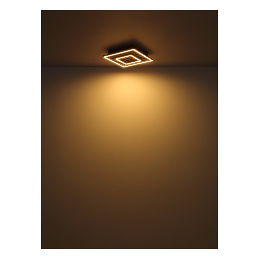 Globo - LED-kattovalaisin LED/18W/230V 3000K 30x30 cm