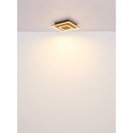 Globo - LED-kattovalaisin LED/18W/230V 3000K 30x30 cm