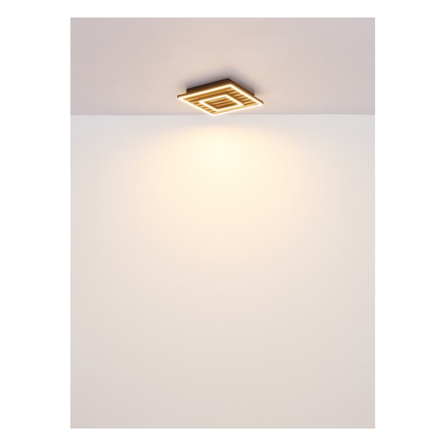 Globo - LED-kattovalaisin LED/18W/230V 3000K 30x30 cm
