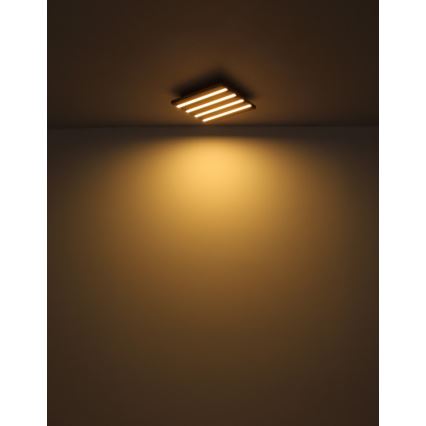Globo - LED-kattovalaisin LED/15 W/230 V 3000 K 30 x 30 cm