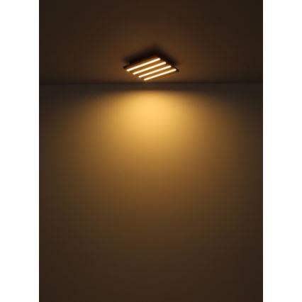 Globo - LED-kattovalaisin LED/30W/230V 3000K 45x45 cm puu